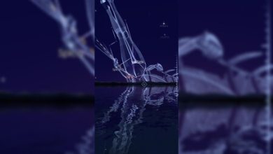 Última oportunidad para ver el cometa Nishimura desde México: cuándo, cómo y a qué hora verlo
