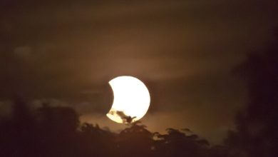 Eclipse solar: cuándo será el próximo eclipse de Sol que se verá desde México