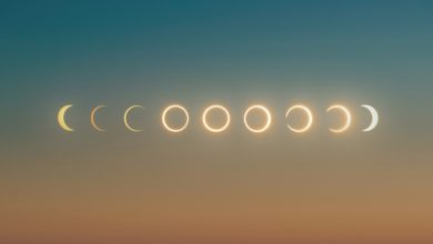 Eclipse solar del 14 de octubre 2023: cómo ver en vivo por internet el eclipse desde México