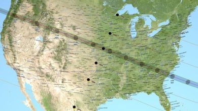 Eclipse solar del 14 de octubre 2023: qué ocurre a los animales durante un eclipse y cómo protegerlos de los rayos del Sol