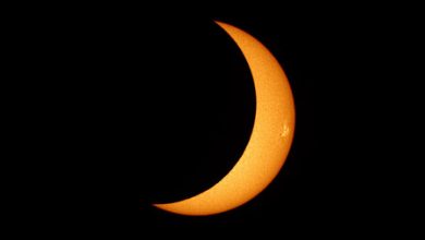 Eclipse solar del 14 octubre 2023: cuál es la diferencia entre un eclipse parcial, anular y total