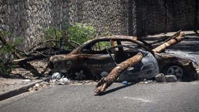 Es ilusorio pensar que la ONU va a aportar soluciones, las soluciones vendrán de los haitianos, asegura el general Dos Santos