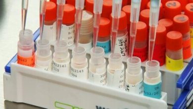 Ganaron el premio Nobel de Medicina por crear un mundo con vacunas ARN mensajero: la pelea contra el COVID no habría sido igual sin ellos