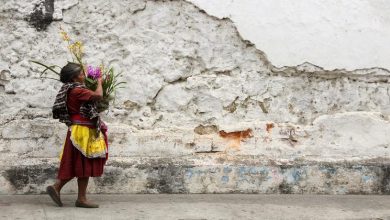 Guatemala debe modernizar profundamente su sistema de justicia penal, señalan expertos de la ONU