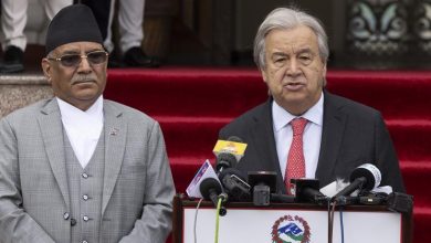 Israel-Palestina: Guterres advierte que la situación en Gaza es cada vez más desesperada