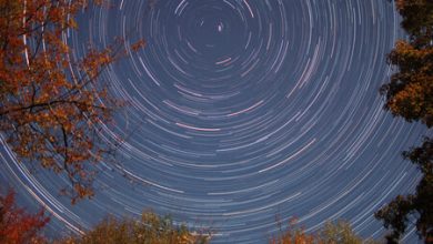 Llegan las Dracónidas 2023: cómo y a qué hora ver desde México el pico máximo de la primera lluvia de estrellas de octubre