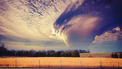 Lucha contra la desinformación climática: Un frente de actuación urgente