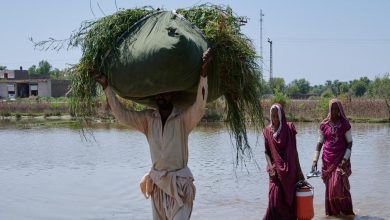 Necesitamos investigar más nuestra relación con el agua