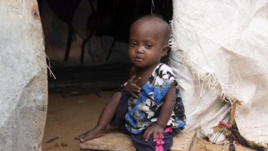 Nobel de la Paz, cambio climático y niños, bebés prematuros... Las noticias del viernes