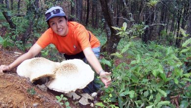 Reflexiones sobre la Semana del Clima de las Naciones Unidas para América Latina y el Caribe