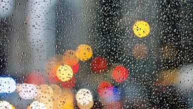 Se pronostican lluvias torrenciales: el frente frío número 4 se extiende por el norte de México