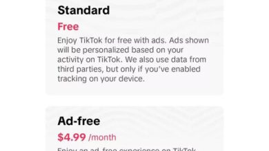 TikTok quiere hacer un Netflix y comenzar a cobrar por no ver anuncios: un plan mensual de 90 pesos está en pruebas