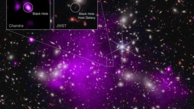 A 13,200 millones de años luz: la NASA encontró el agujero negro supermasivo más lejano del universo con rayos X y el James Webb