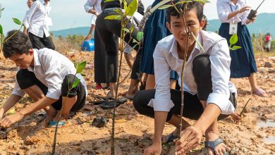 Conferencia sobre el Cambio Climático COP28: lo que hay que saber