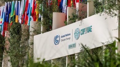 COP28, malaria, violencia de género en Argentina… Las noticias del jueves