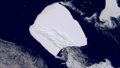 El despertar un coloso: tras 30 años inactivo, el colosal iceberg A23a se mueve en un majestuoso viaje con complicadas implicaciones