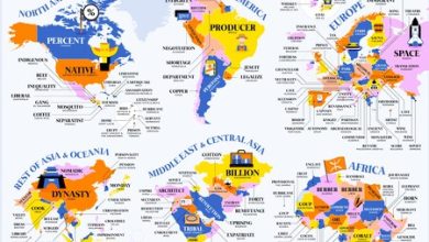 Este mapa muestras las palabras más comunes en Wikipedia por país: la de México revela nuestras raíces