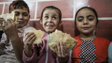 Hospitales en Gaza, combustible, minas terrestres,Yemen... Las noticias del martes