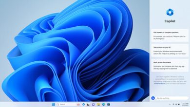 IA también en Windows 10: la Inteligencia Artificial Copilot de Microsoft llegará a mil millones de dispositivos más