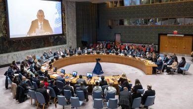 Israel-Palestina: El Consejo de Seguridad pide pausas humanitarias y la liberación de los rehenes en Gaza