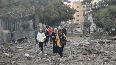 Israel-Palestina: Expertos en derechos humanos pide un alto el fuego para prevenir un genocidio palestino