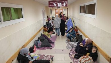 Israel-Palestina: Los ataques contra hospitales de Gaza deben cesar, son “desmedidos y reprensibles”