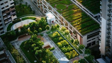 La naturaleza, clave en las infraestructuras para el desarrollo sostenible