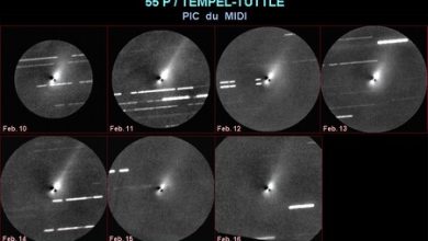 Leónidas 2023: cómo y a qué hora ver desde México la lluvia de estrellas más importantes del año a partir de los restos de un cometa