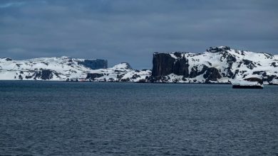 Lo que pasa en la Antártida no se queda en la Antártida, proteger esta región es proteger a la humanidad
