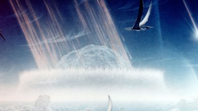 Los dinosaurios no se extinguieron por la caída de un meteorito, la enorme nube de polvo que levantó el impacto los sentenció: estudio