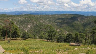 Protegiendo a las comunidades tarahumaras en México