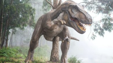 T-Rex y velocirraptores extraterrestres: un descabellado estudio sugiere la existencia de dinosaurios en otros planetas