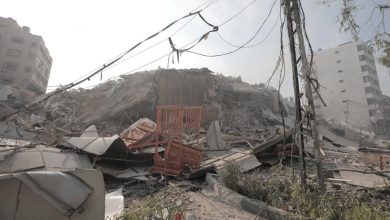 Tregua en Gaza, COP28, educación... Las noticias del miércoles