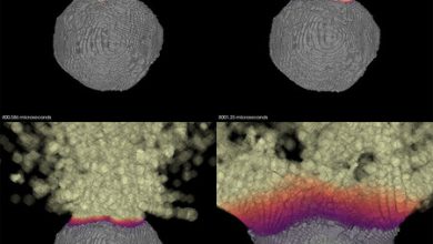 Alguien creo un software para saber si podemos desviar un asteroide como en 'Armageddon', spoiler: fracasaremos si lo hacemos así