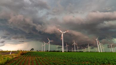 COP28: América Latina debe invertir entre un 3,7 % y un 4,9% de su PIB en financiación climática