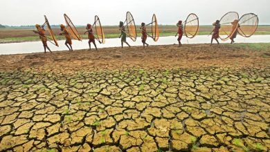 COP28: El manto áspero de la sequía se alarga cada vez más por el planeta
