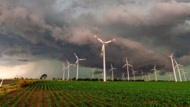 COP28: Guterres creará un panel para la gestión equitativa de los minerales, esencial en una transición hacia la energía verde