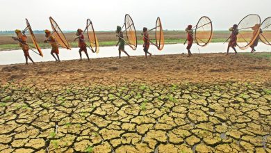 COP28, sequía, emisiones de metano, Gaza, día mundial del SIDA… Las noticias del viernes