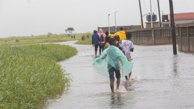 El aumento de los casos de dengue es “una grave amenaza”, alerta la OMS