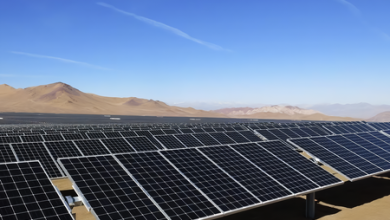 El Sol es la clave para generar toda la energía que la humanidad requerirá en el futuro, según Elon Musk