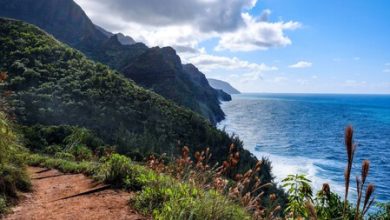 En esta isla se grabó 'Jurassic Park' y es donde Zuckerberg construye un bunker post apocalíptico