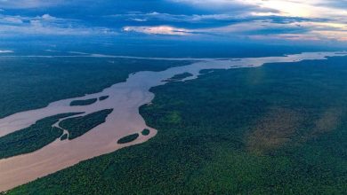 Esequibo: Guterres confía en que los compromisos entre los presidentes de Venezuela y Guyana distiendan la situación