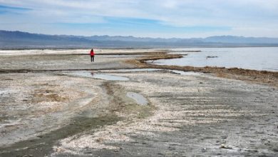 Este lago tiene más litio que China: hay el equivalente a más de 500,000 millones de dólares del mineral esencial para los autos eléctricos