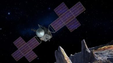 Este video de un gato viajó 30 millones de kilómetros del espacio a la Tierra para que la NASA probara un nuevo método de comunicación láser