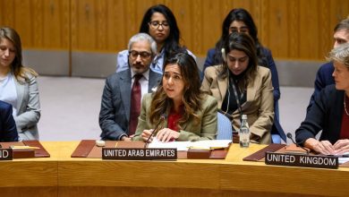 Israel-Palestina: El Consejo de Seguridad exige que se permita la entrega inmediata y segura de ayuda humanitaria a gran escala en Gaza