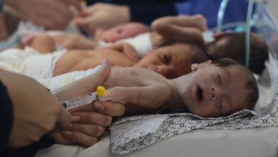 Israel-Palestina: La OMS adopta una resolución sobre el acceso de la ayuda humanitaria