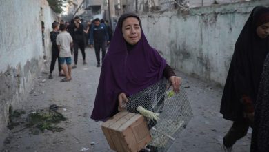 Israel-Palestina: Nunca se debe permitir que haya hambre, dice Türk con respecto a Gaza