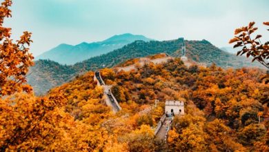 La estructura humana más visible desde el espacio no es la Gran Muralla China, es una inesperada construcción que nadie se imagina