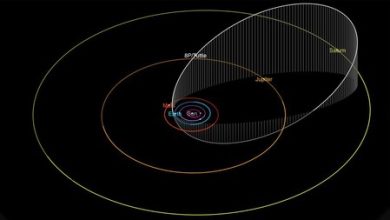 La lluvia de estrellas de las Úrsidas de 2023 ya se puede ver desde México: cómo, cuándo y a qué hora captarlas en su mejor momento