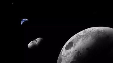 La Luna tuvo un hijo: un satélite miniatura de 40 metros de diámetro y que se encuentra a 14.5 millones de kilómetros de la Tierra